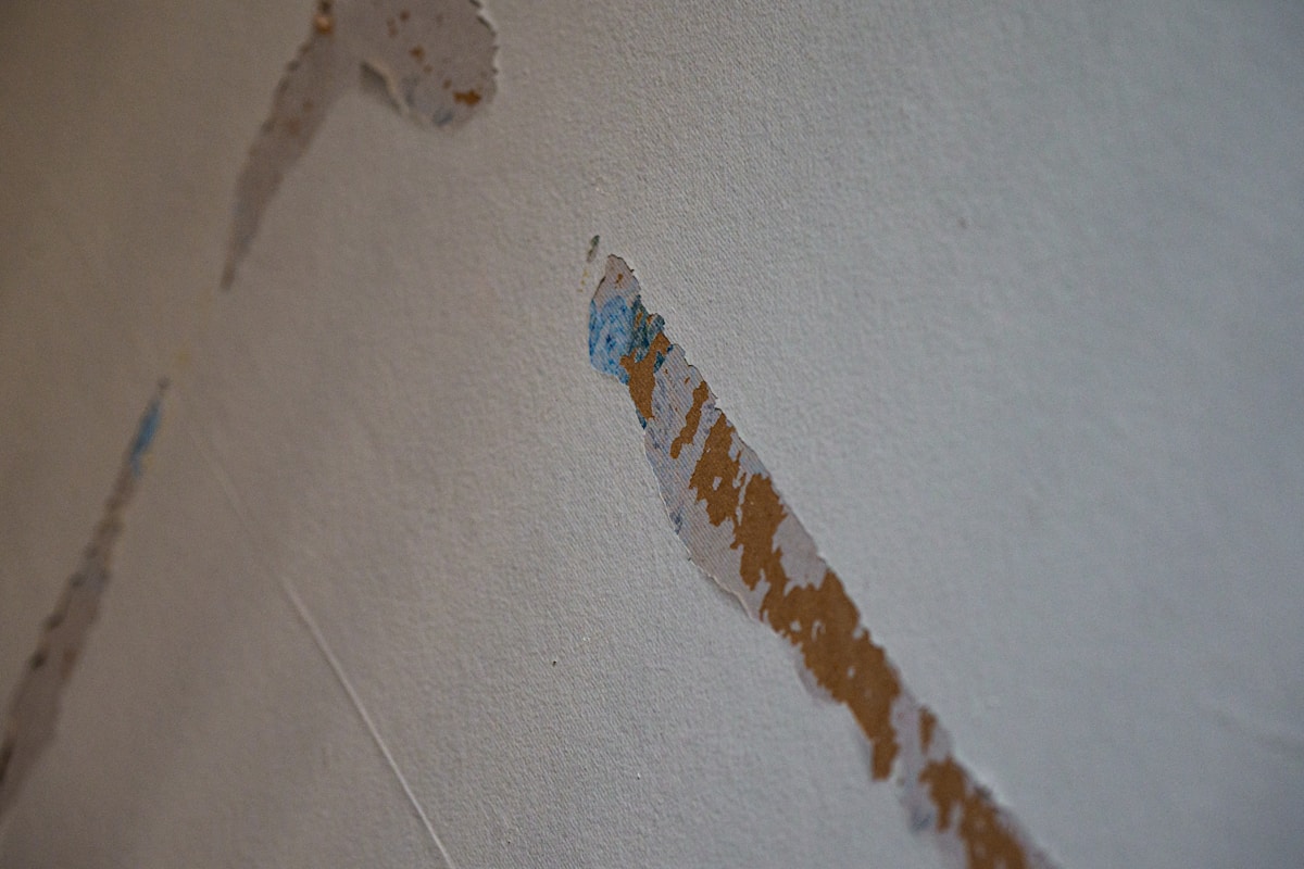 Storm Damage Repair service in El Paso de Robles, CA