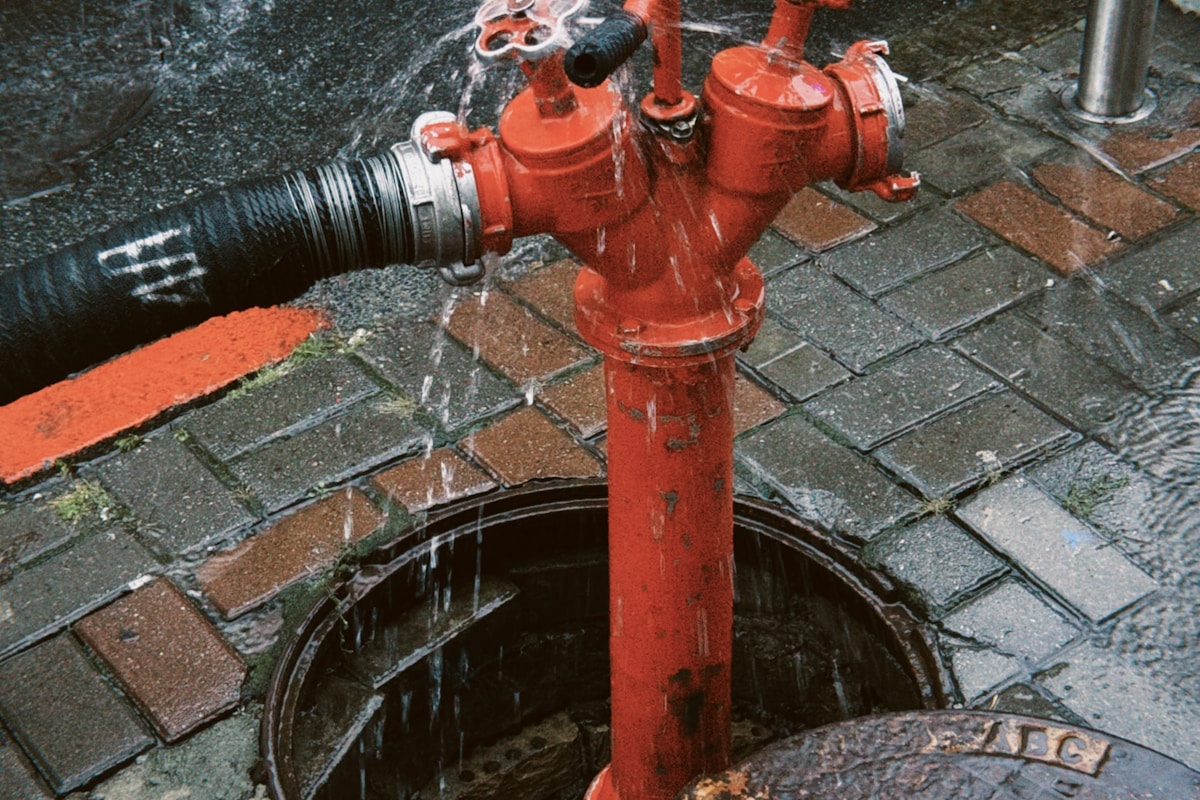 Mold Remediation service in El Paso de Robles, CA